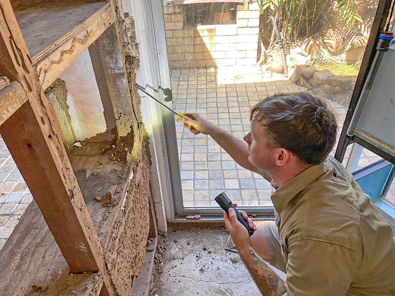 Termite Control image 2